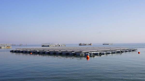 亚博YABO海上光伏实证项目